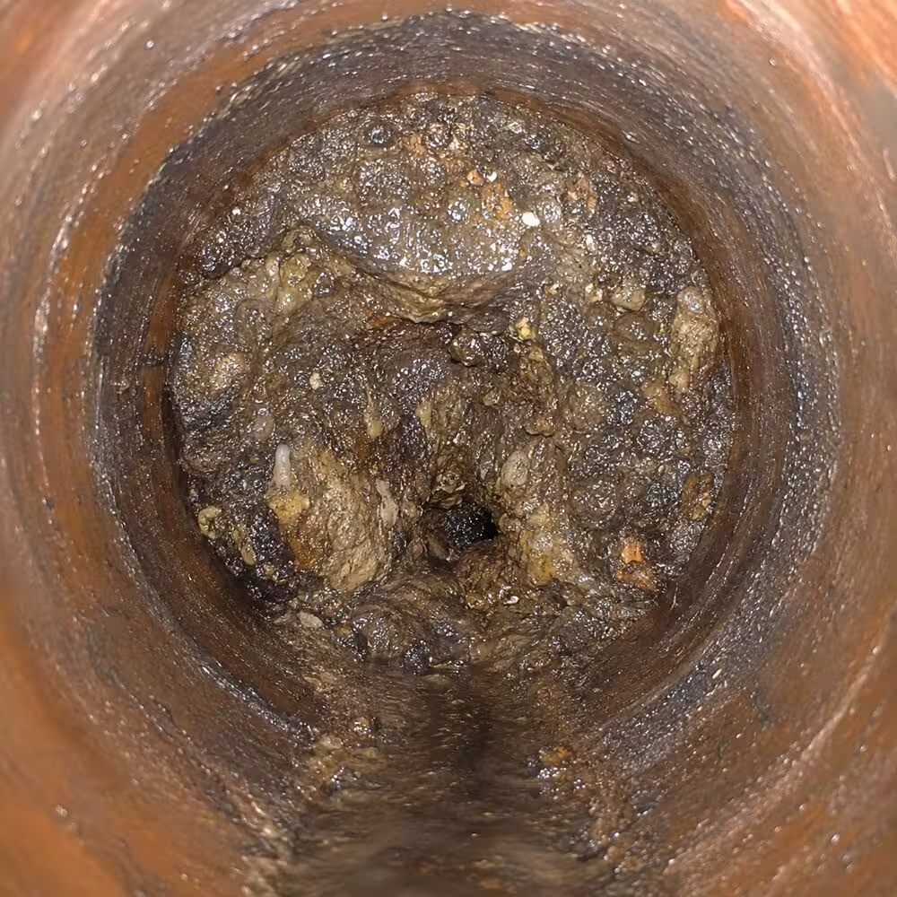 Drain line with heavy buildup, grease, and debris before professional drain cleaning.